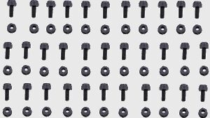 BOLT Fastener Kit - License Plate - 50PK
