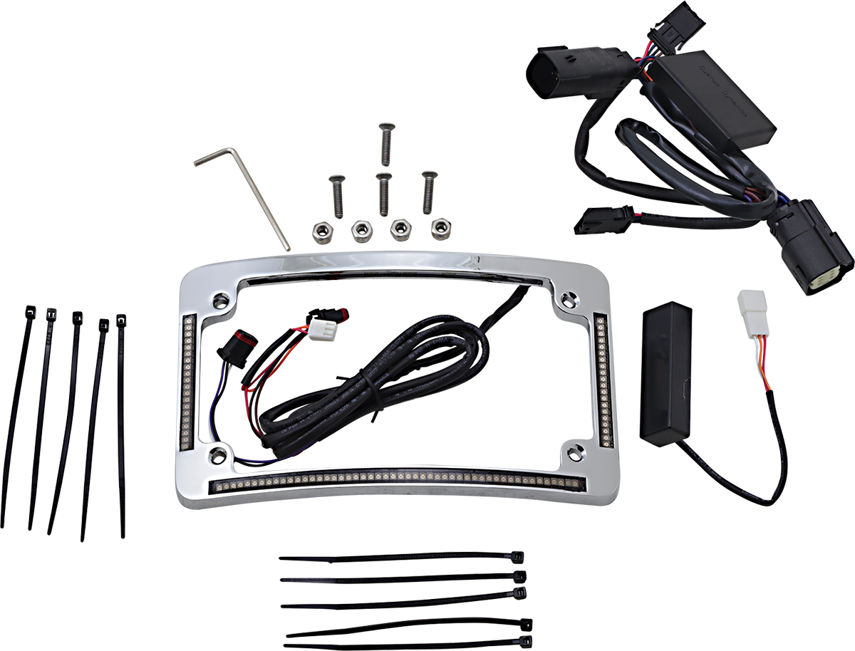 CUSTOM DYNAMICS Radius License Plate Frame - Chrome