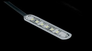 Shopping Cart, Shopping Cart