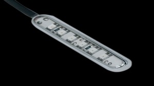 Shopping Cart, Shopping Cart