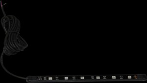 Shopping Cart, Shopping Cart