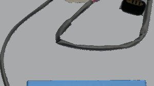 CUSTOM DYNAMICS Smart Signal Stabilizer Module