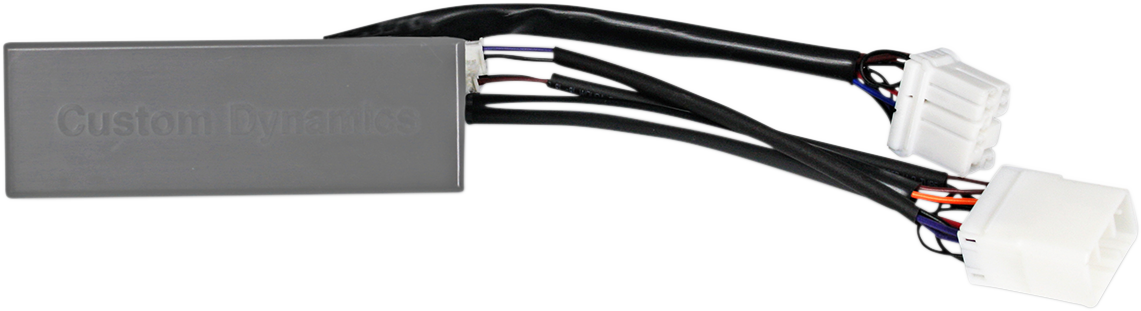 CUSTOM DYNAMICS ProBEAM® LED Taillight Panels for CVO™ - Red Lens - Image 2