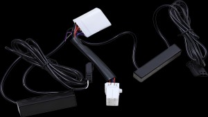 Shopping Cart, Shopping Cart