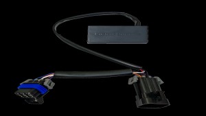 Shopping Cart, Shopping Cart