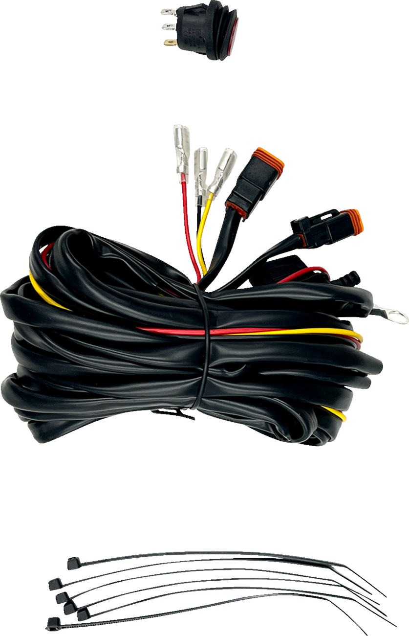 CUSTOM DYNAMICS SMART Triple Play Module - Indian - Image 2