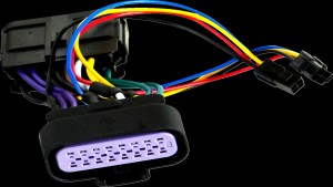 Shopping Cart, Shopping Cart