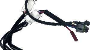 CUSTOM DYNAMICS SMART Triple Play® Module - RZR Pro