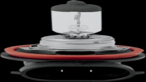 Shopping Cart, Shopping Cart