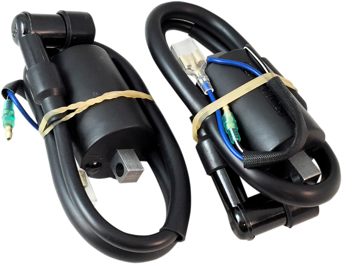 RICK'S MOTORSPORT ELECTRIC Trigger Coil - Polaris - Image 2