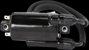 Shopping Cart, Shopping Cart