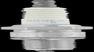 Shopping Cart, Shopping Cart