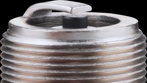 Shopping Cart, Shopping Cart