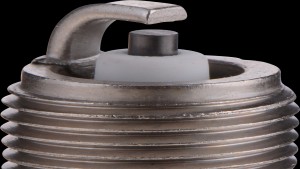 Shopping Cart, Shopping Cart