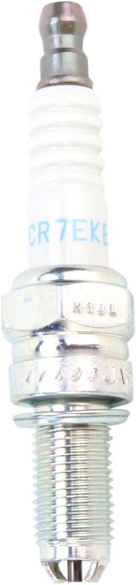 DRAG SPECIALTIES Coil Cover - Black - Harley Davidson - Image 2