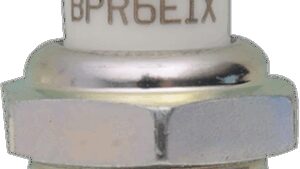 Shopping Cart, Shopping Cart