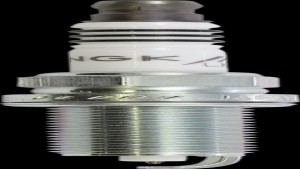 Shopping Cart, Shopping Cart