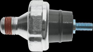 Shopping Cart, Shopping Cart