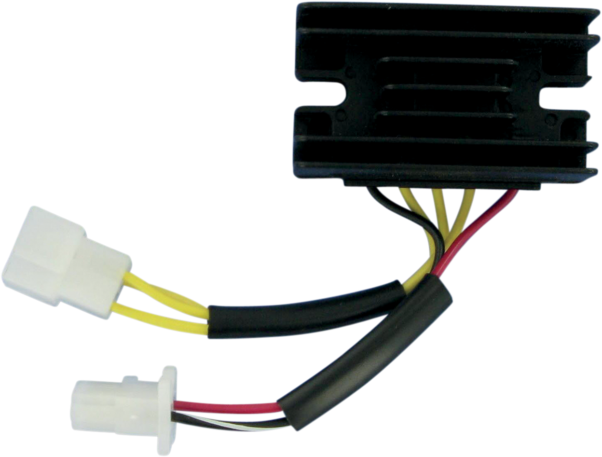 RICK'S MOTORSPORT ELECTRIC Stator - Ski-Doo - Image 2