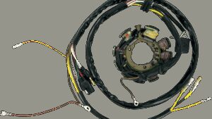 RICK'S MOTORSPORT ELECTRIC Stator