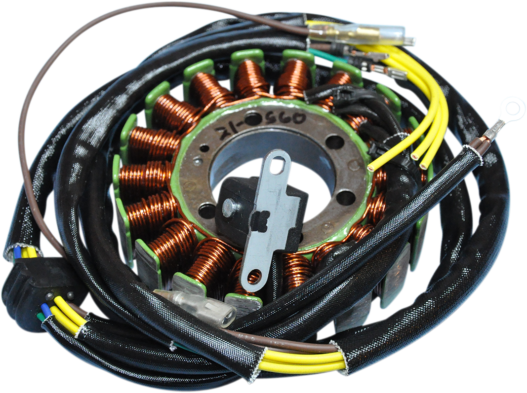 RICK'S MOTORSPORT ELECTRIC Stator - Polaris