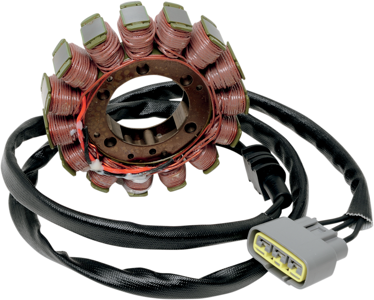 RICK'S MOTORSPORT ELECTRIC Stator - Image 2
