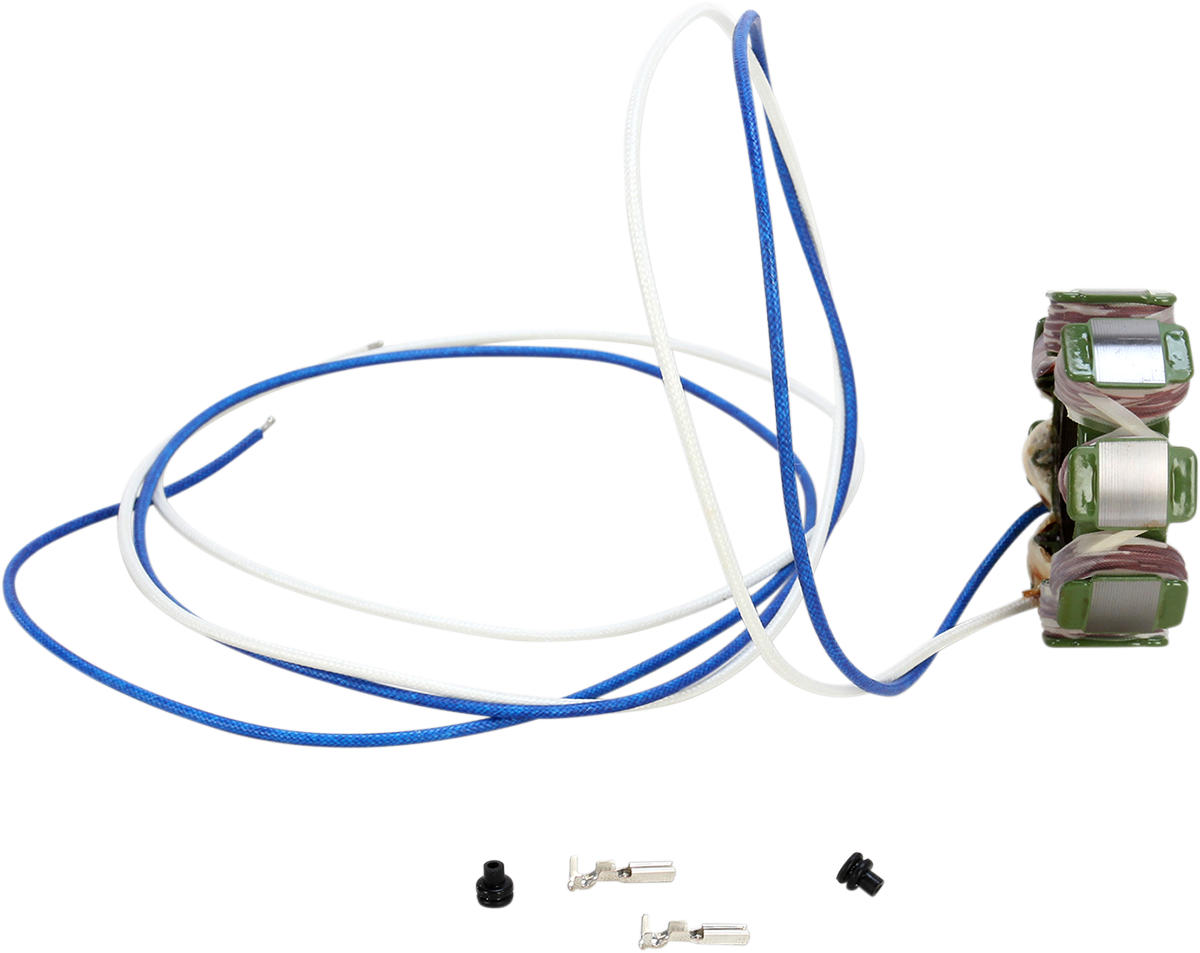 RICK'S MOTORSPORT ELECTRIC Stator - Suzuki - Image 2