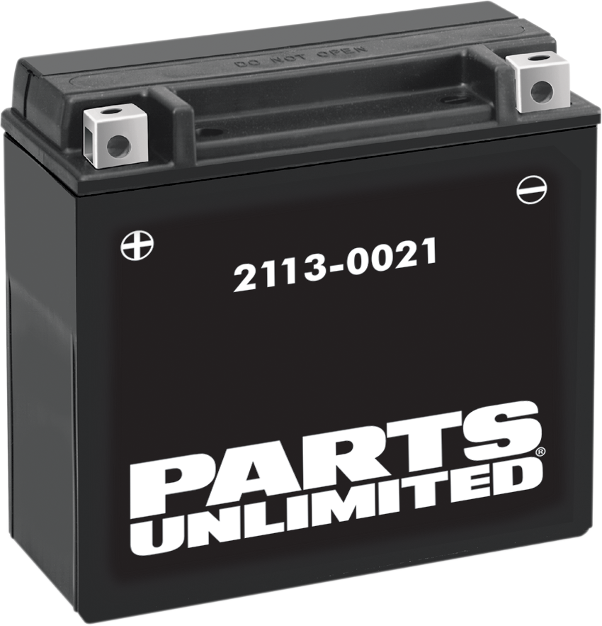 PARTS UNLIMITED AGM Battery - YTX20H-BS .95 L