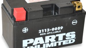 PARTS UNLIMITED AGM Battery - YTZ10S