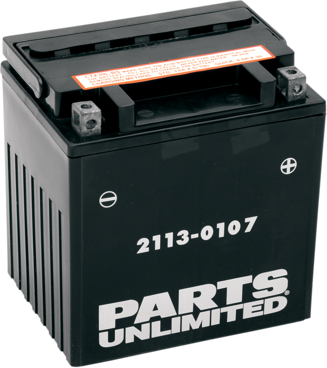 PARTS UNLIMITED AGM Battery - YIX30L-BS