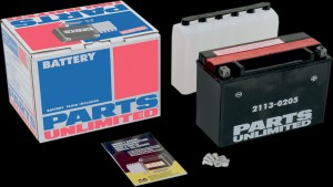 PARTS UNLIMITED BATTERY YTX24HL-BS
