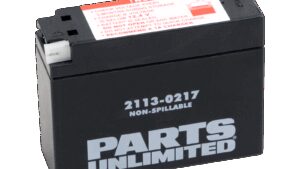 PARTS UNLIMITED AGM Battery - YT4B-BS