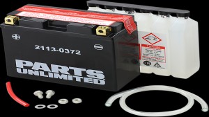 PARTS UNLIMITED BATTERY YT12B-BS