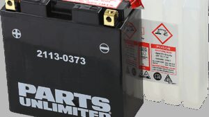 PARTS UNLIMITED AGM Battery - YT14B-BS