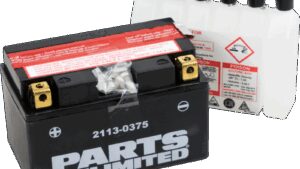 PARTS UNLIMITED AGM Battery - YTZ10S-BS