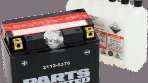 PARTS UNLIMITED AGM Battery - YTZ12S-BS