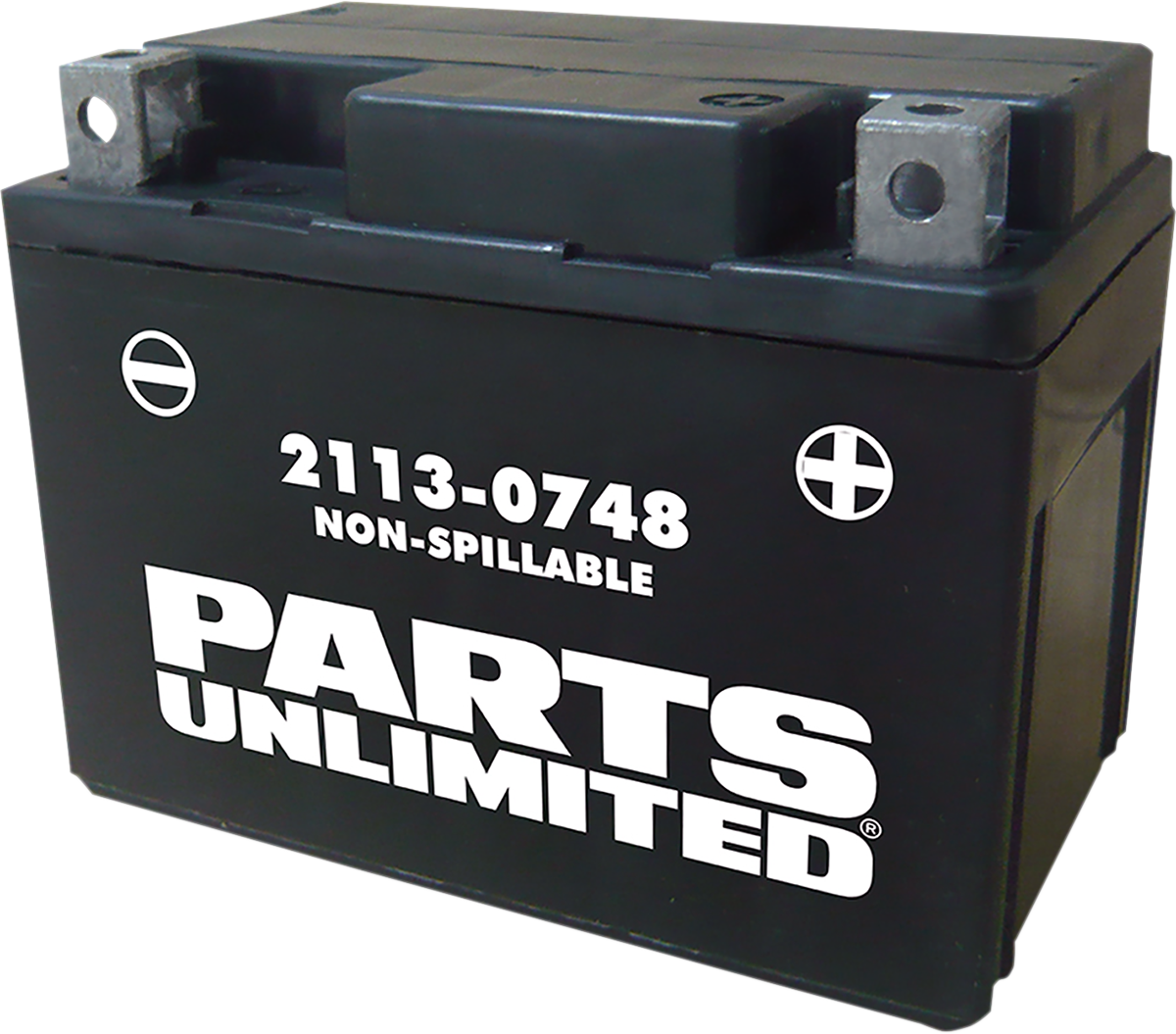 PARTS UNLIMITED AGM Battery - YTX4L
