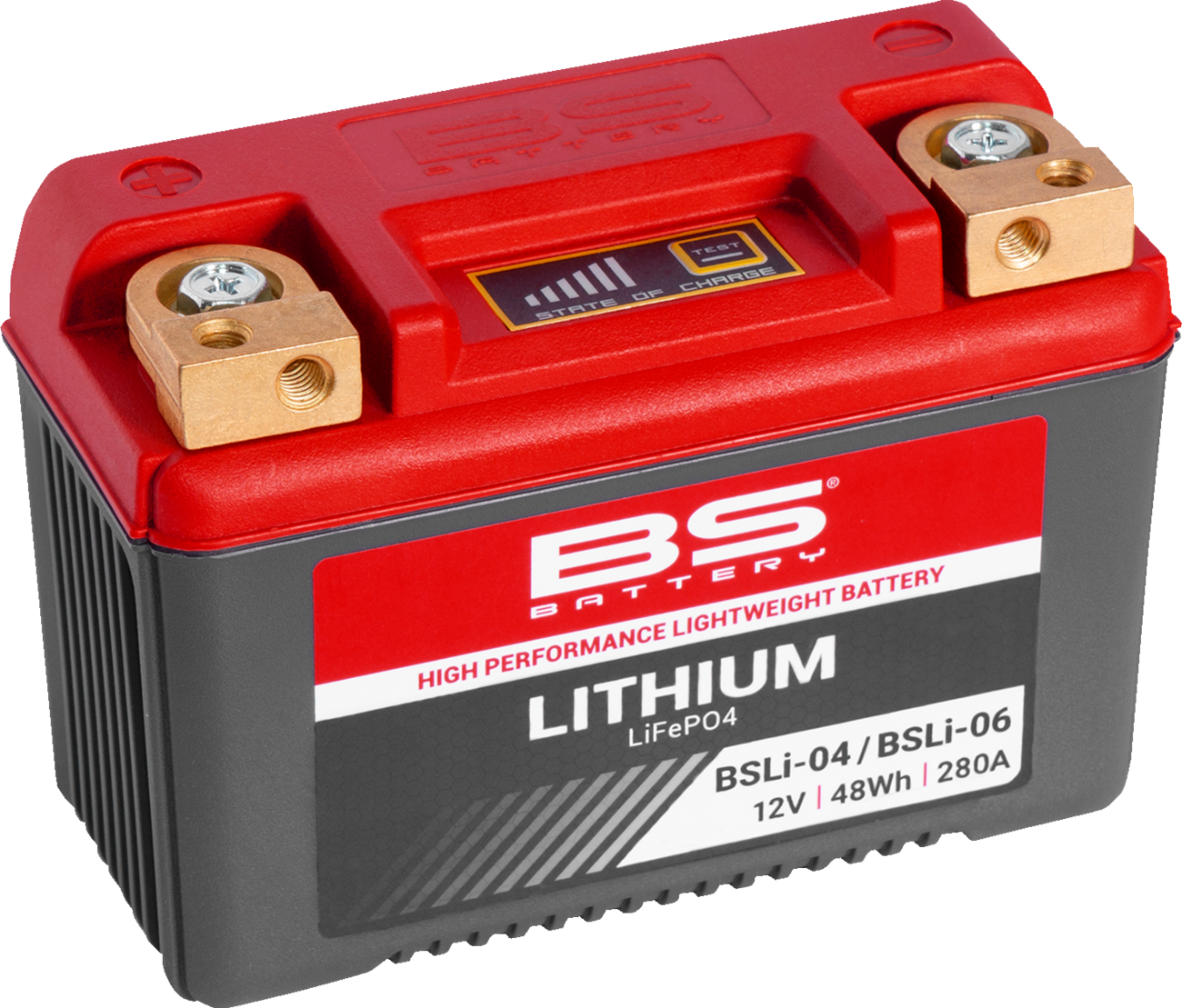 BS BATTERY Lithium Battery - BSLi-04/06