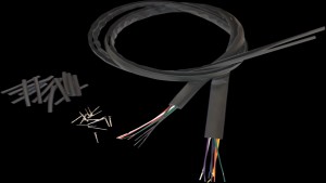 Shopping Cart, Shopping Cart