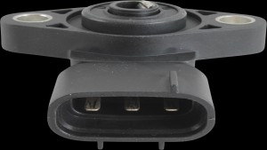 Shopping Cart, Shopping Cart