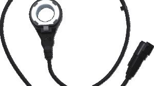 Shopping Cart, Shopping Cart