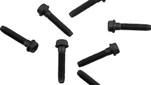 Shopping Cart, Shopping Cart