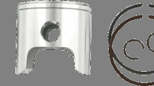 Shopping Cart, Shopping Cart