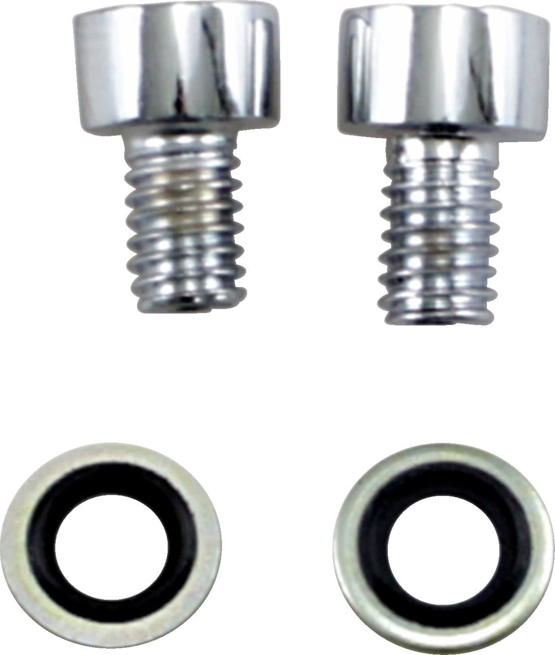 JAMES GASKET Fork Drain Bolt - Kit