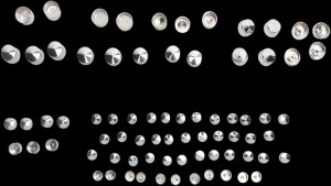 Shopping Cart, Shopping Cart