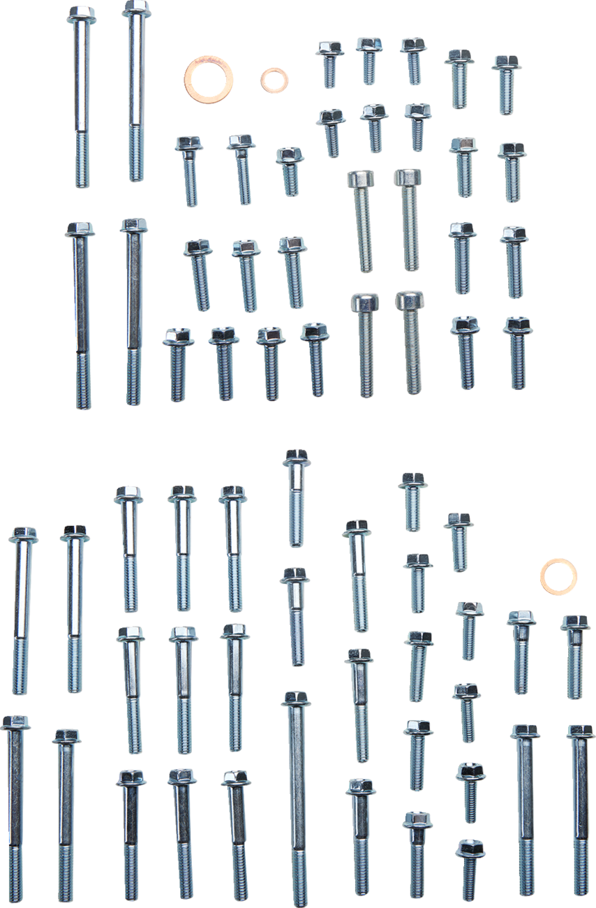 BOLT Engine Fastener Kit - '03-'16 250/300