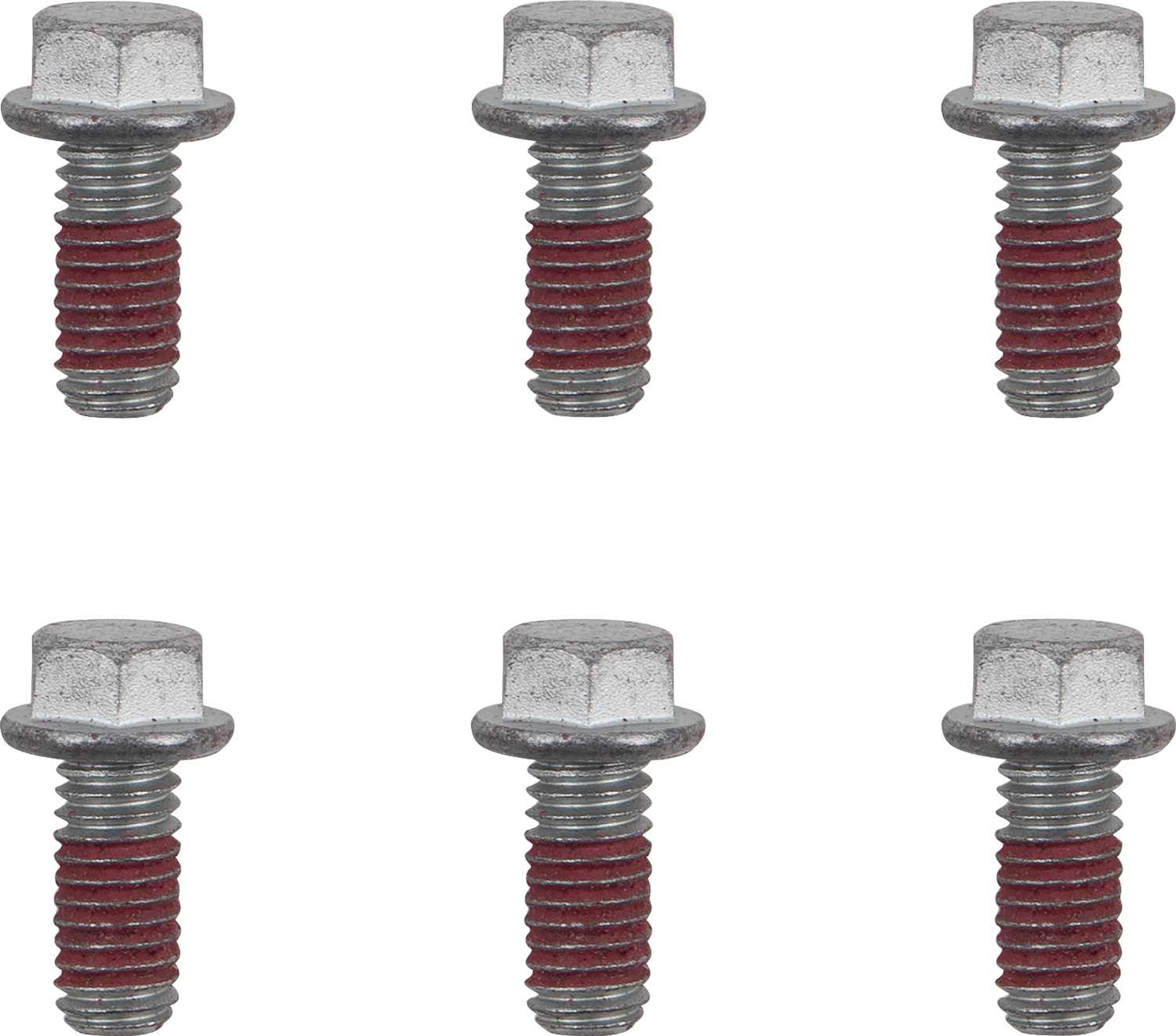 MOTO-MASTER BOLTS ROTOR M6X13