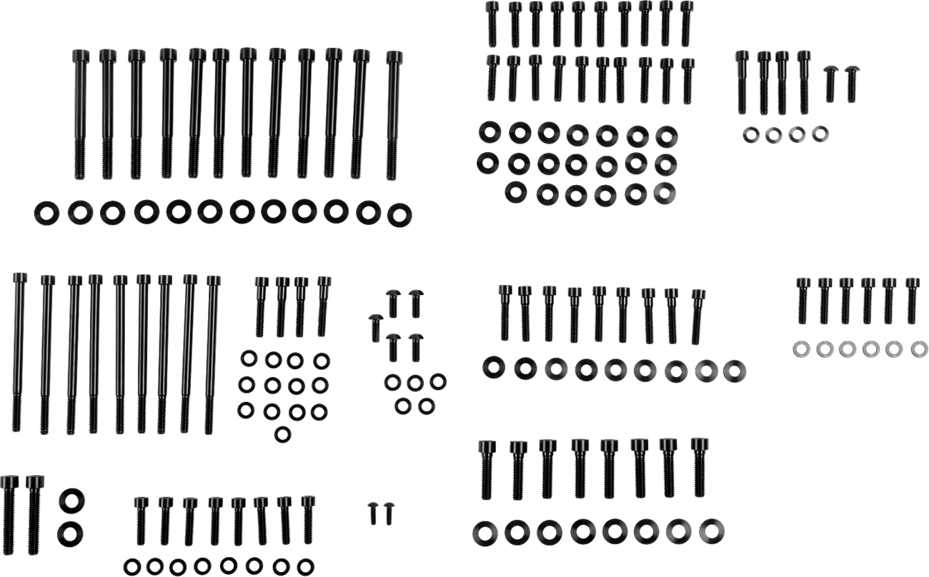 FIGURATI DESIGNS Engine Bolt Kit - Titanium/Race Black - M8