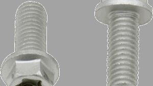 Bolt - European - M6 x 16 - 10-Pack