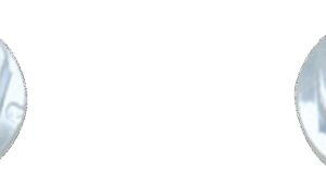 Shopping Cart, Shopping Cart